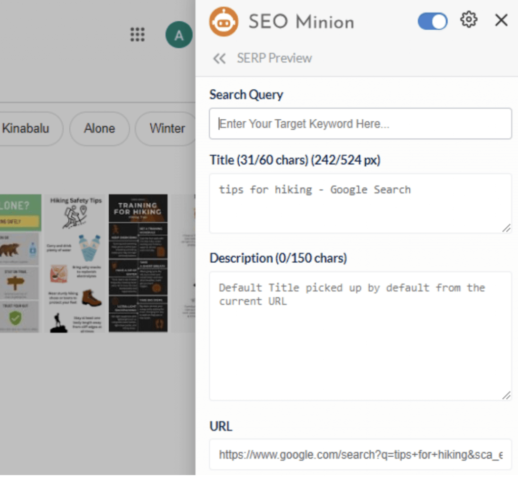 SEO Minion SERP review 