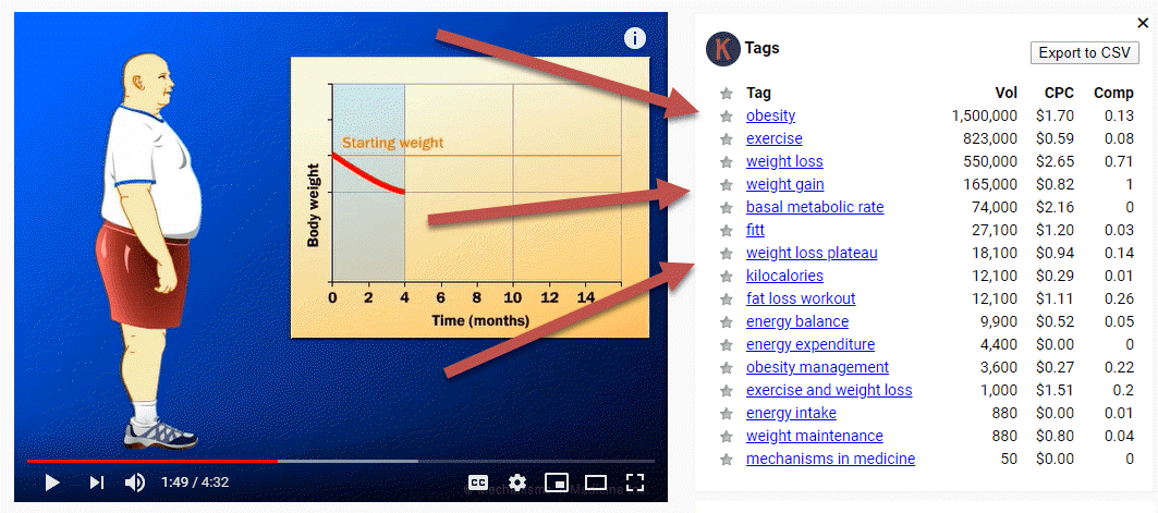 Keywords Everywhere showing a YouTube video's tags with their search volume